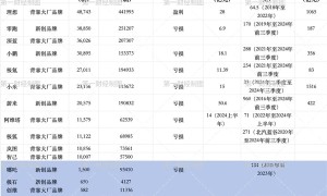 <strong>揭秘中国新势力车企的三个档次！2025年这4个品牌最有可能死掉</strong>