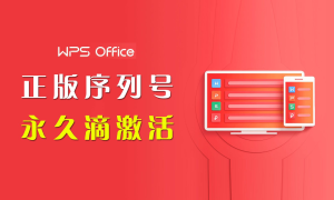 WPS Office Pro专业版永久激活码2023