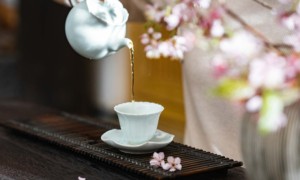 深圳上门茶价格，只选择质量上乘、口感优异的茶叶供应商