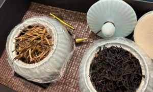 广州喝茶自带工作室，和海选酒店安排